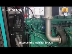 웨이차이 시일런트 발전기 세트 300KW
