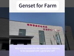 양동 엔진 48KW 60KVA 가정 농장용 조용 디젤 발전기