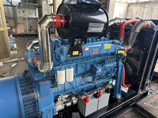 좋은 가격 200KW / 250KVA 개방형/밀폐형/방음형 디젤 발전기 – 고객을 위한 비용 효율적인 전력 솔루션 온라인으로
