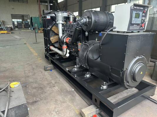300KW/375KVA 무소음 및 개방형 디젤 발전기 | 웨이차이 엔진 | 공장 직판